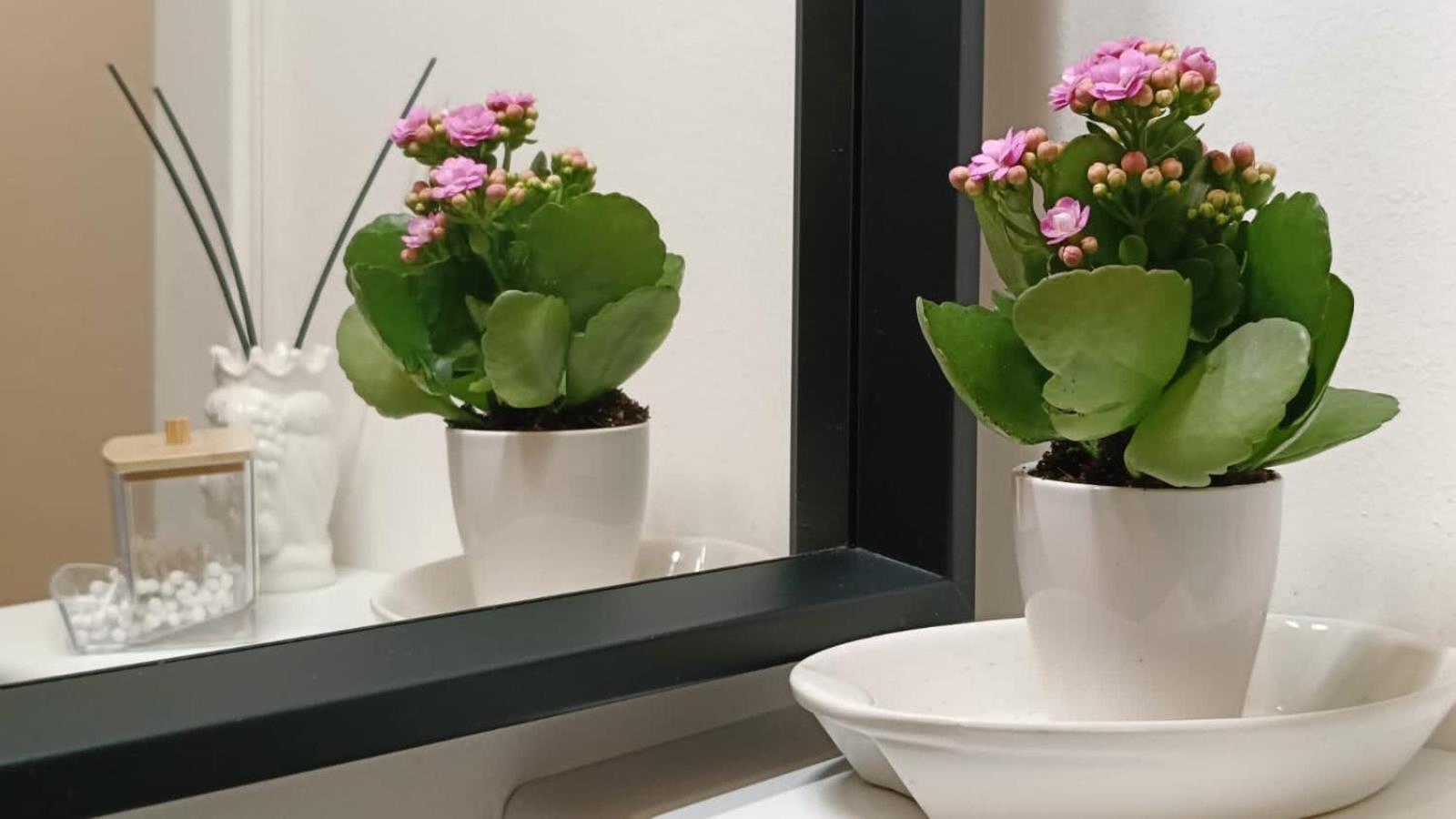 Apartment Eleganza In Centro Citta *